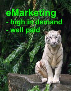 eMarketing high in demand & well paid